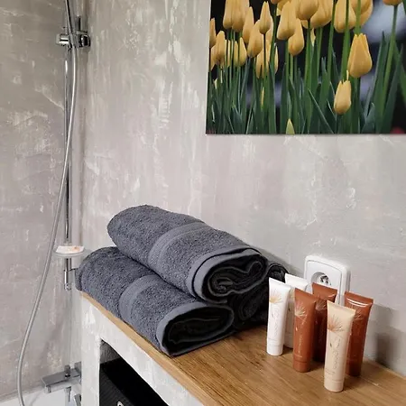 Apartman V Centru